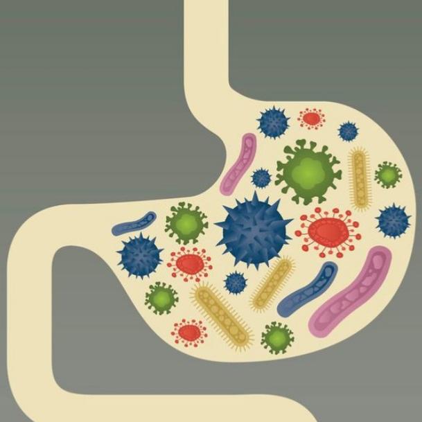 Le pollen frais, un alli de poids pour notre flore intestinale