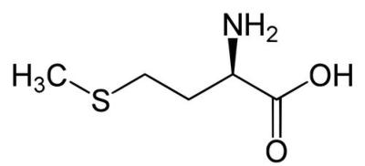 La mthionine, un acide amin prsent dans le pollen frais