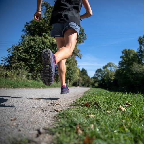 Les produits de la ruche dans la nutrition des sportifs