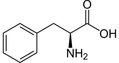 La phénylalanine, un acide aminé présent dans le pollen frais